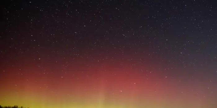 fbl wc 2014 match25 sui à partir de