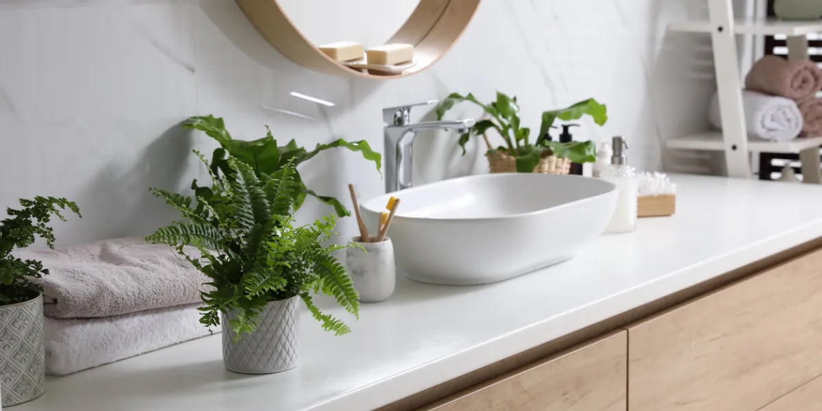 beautiful green ferns and toiletries on countertop in bathroom