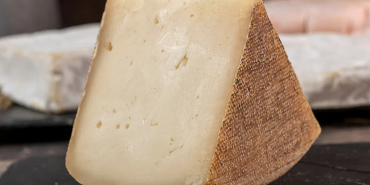 goat cheese tomme or tome, produced in the french pyrenees