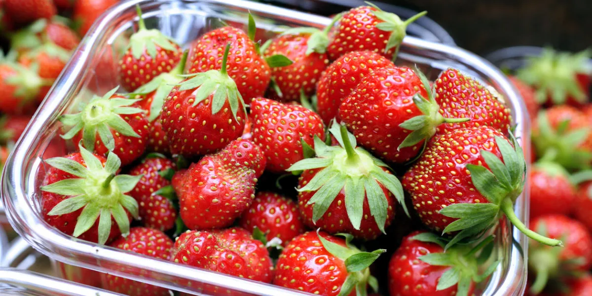punnet of organic kent strawberries
