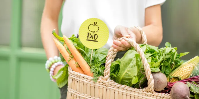 holding bag full of fresh organic vegetables with green sticker from the local market on the green background