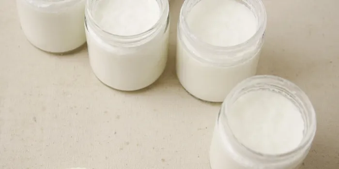 homemade natural yogurt still life with yogurt making machine