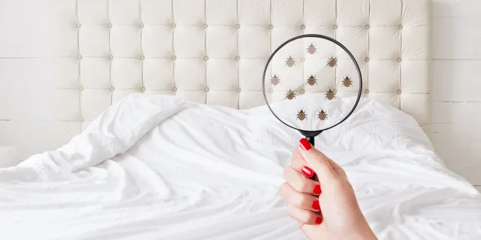 insanitation concept woman holds lens, shows there are bugs in bedclothes, detects bad insects demonstrates dirty conditions dirtiness, unhygienic conditions and uncleanness
