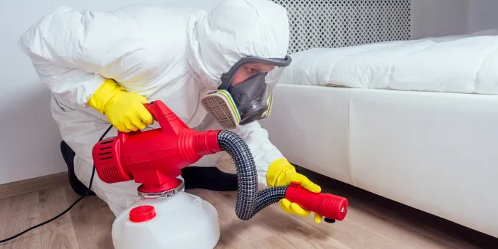 pest control worker lying on floor and spraying pesticides in bedroom